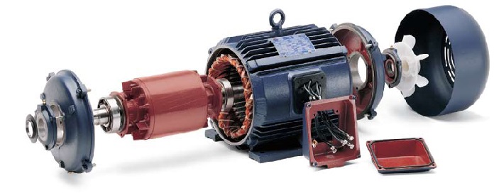 Application of single and three phase induction motor