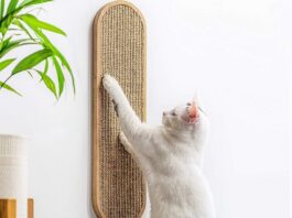 Cat Benefit from a Scratching Post