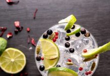 Gin and Tonic with Garnishes and Botanicals