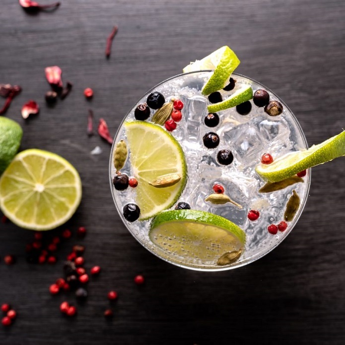 Gin and Tonic with Garnishes and Botanicals