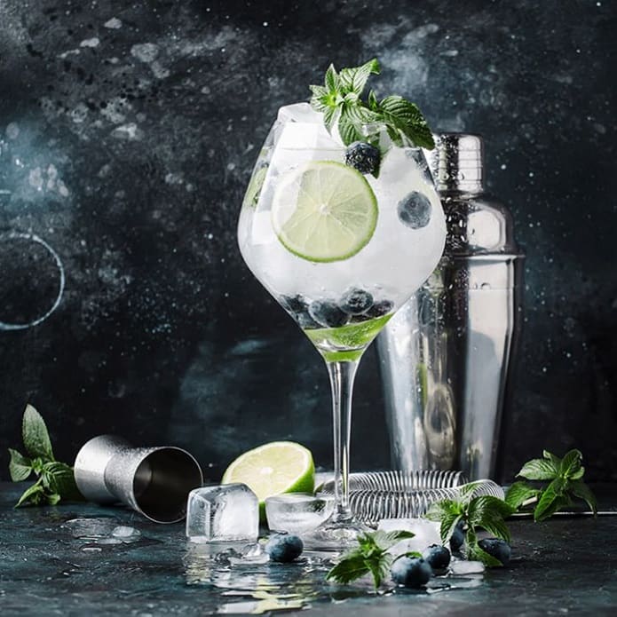gin and tonic with mix fresh lime