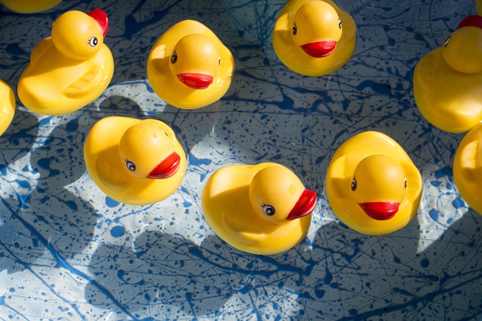 picture of rubber toy ducks in a water