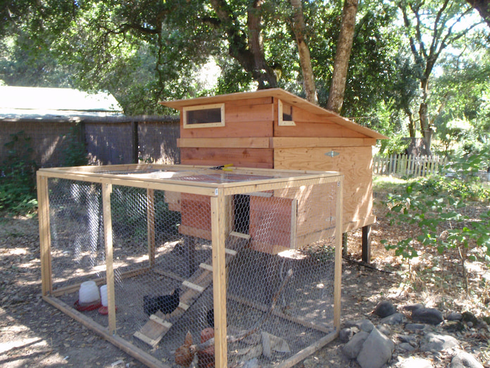 protected chicken hutch