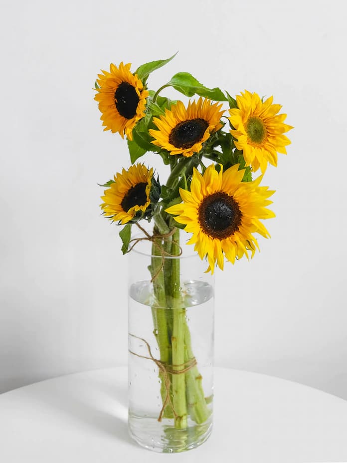 sunflower-vase