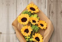 featured-sunflower