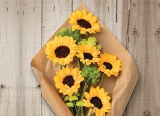featured-sunflower